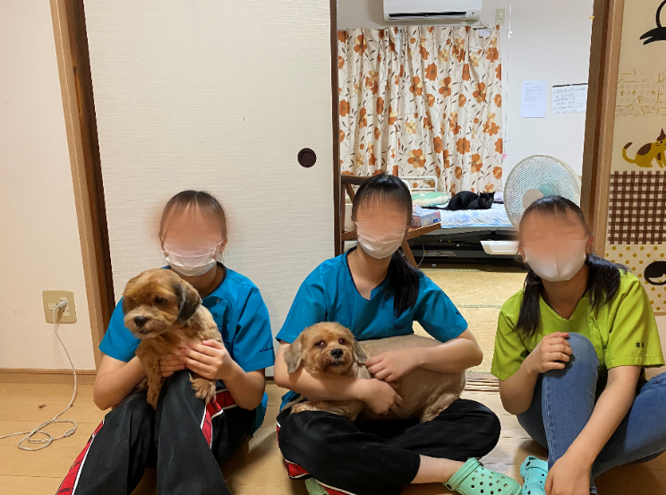 神戸ブレーメン動物専門学校 学生ボランティアの活動報告／神戸市中央区社会福祉協議会